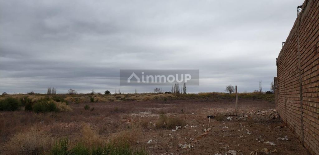 Finca en Venta en Lavalle, Mendoza