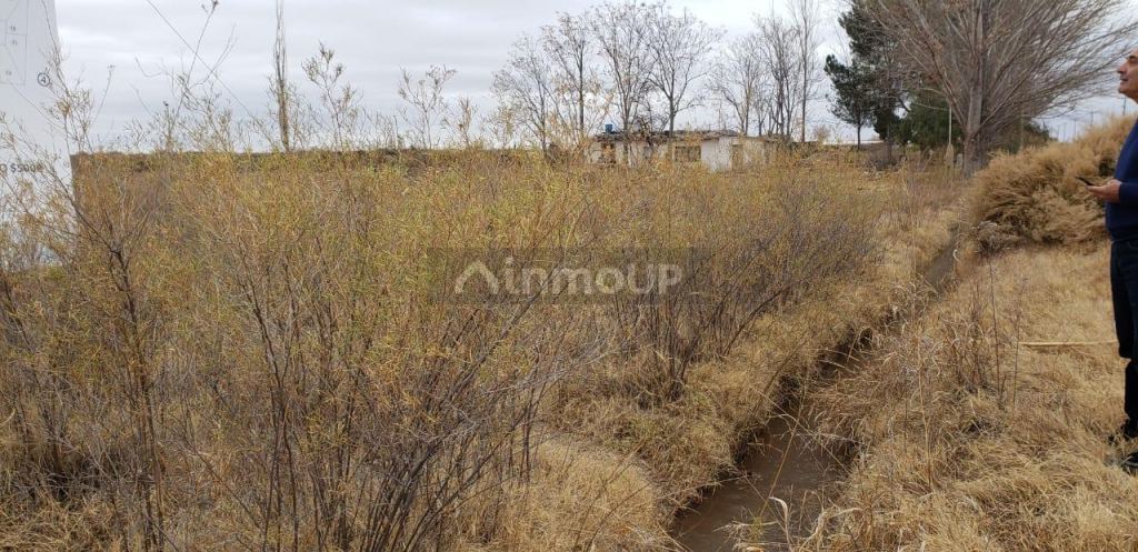 Finca en Venta en Lavalle, Mendoza