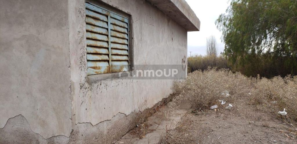 Finca en Venta en Lavalle, Mendoza