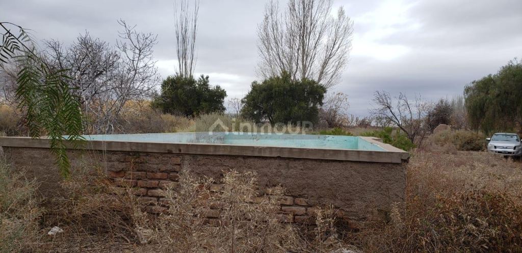 Finca en Venta en Lavalle, Mendoza