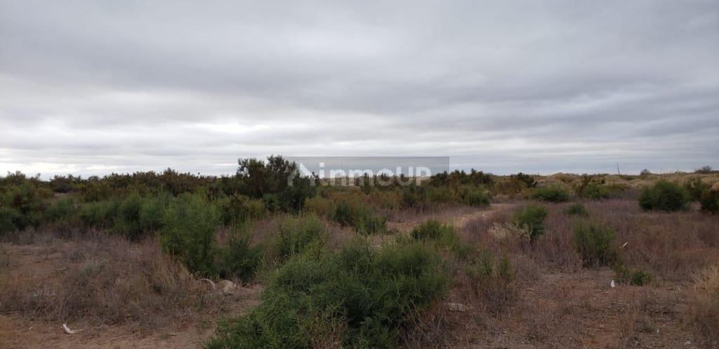 Finca en Venta en Lavalle, Mendoza