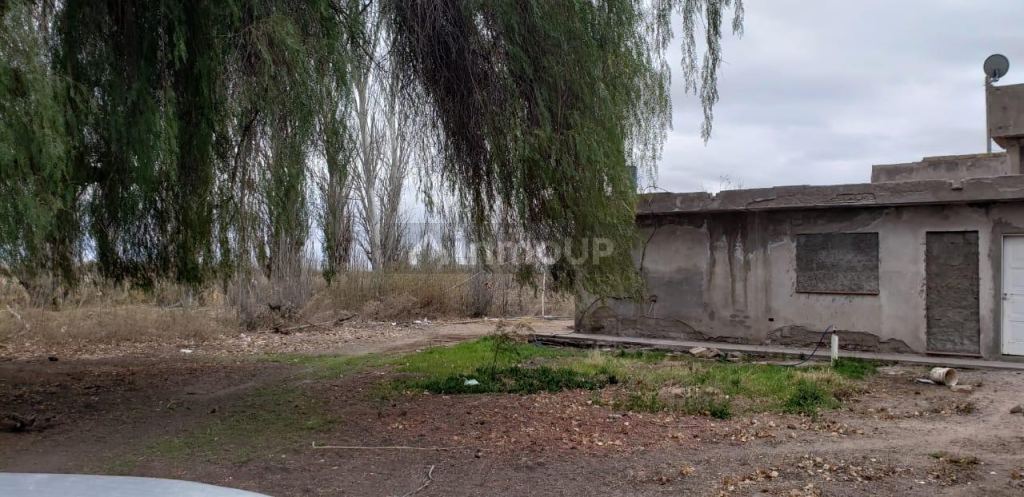 Finca en Venta en Lavalle, Mendoza