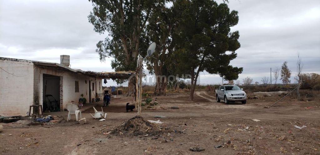 Finca en Venta en Lavalle, Mendoza