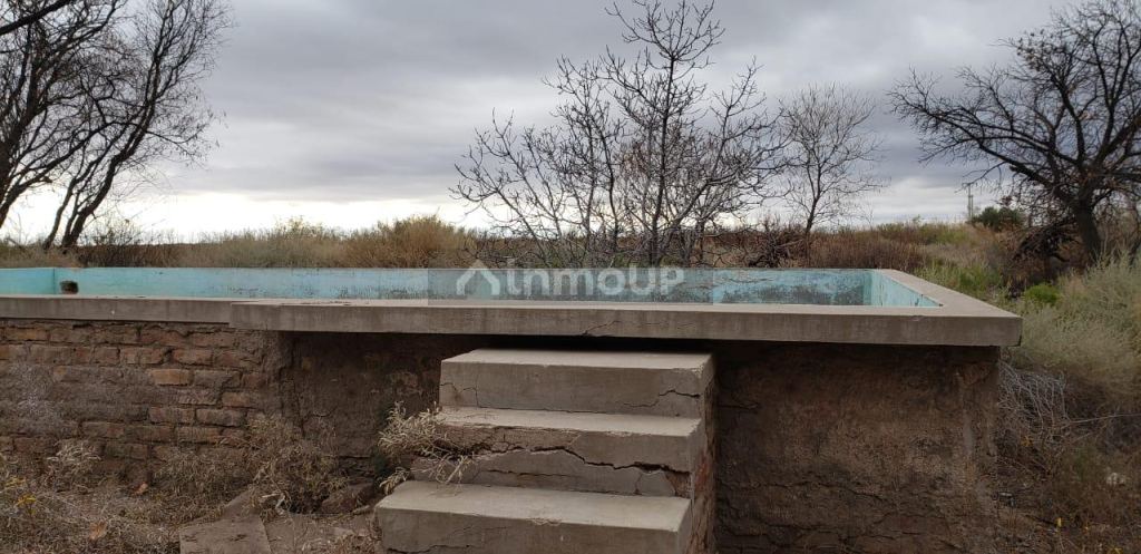 Finca en Venta en Lavalle, Mendoza
