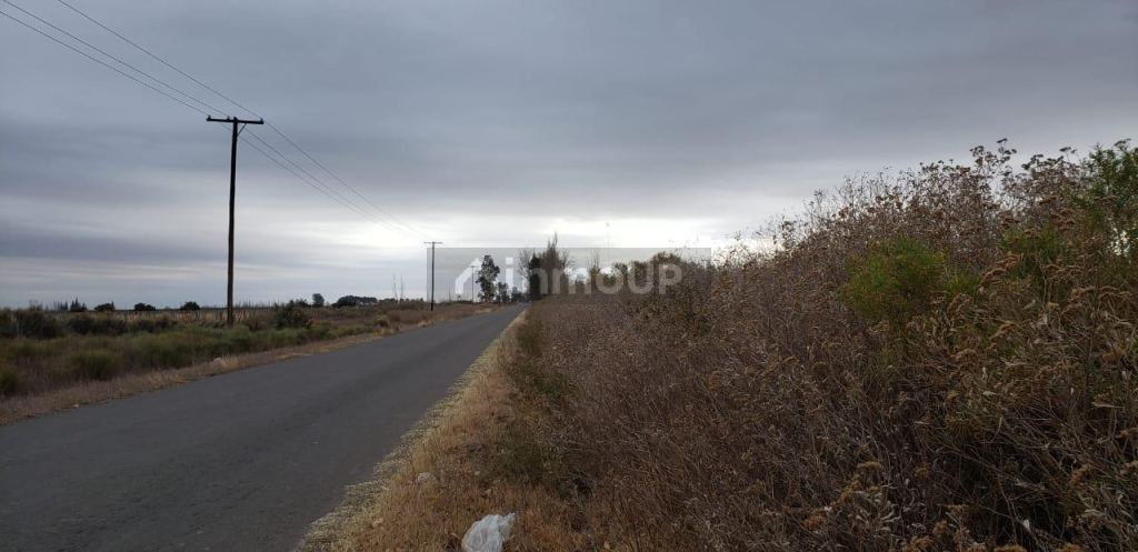 Finca en Venta en Lavalle, Mendoza