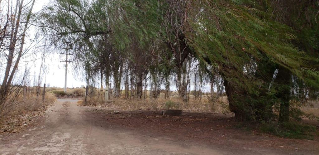 Finca en Venta en Lavalle, Mendoza