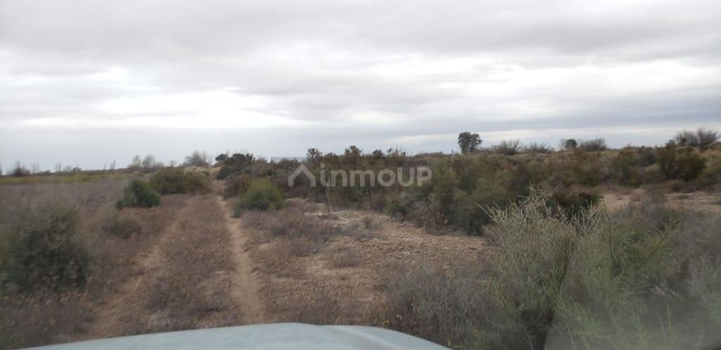 Finca en Venta en Lavalle, Mendoza