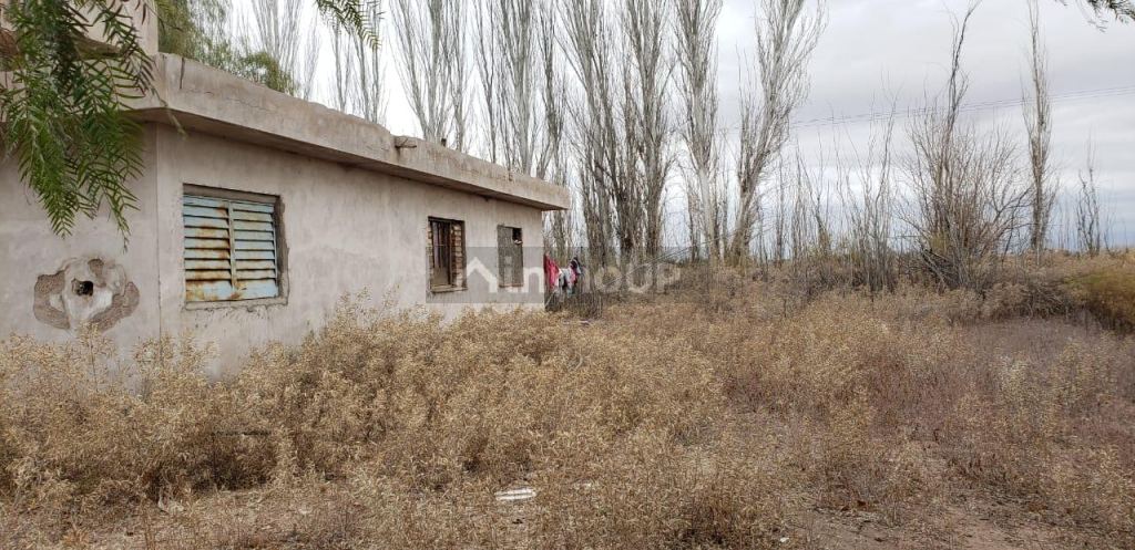 Finca en Venta en Lavalle, Mendoza