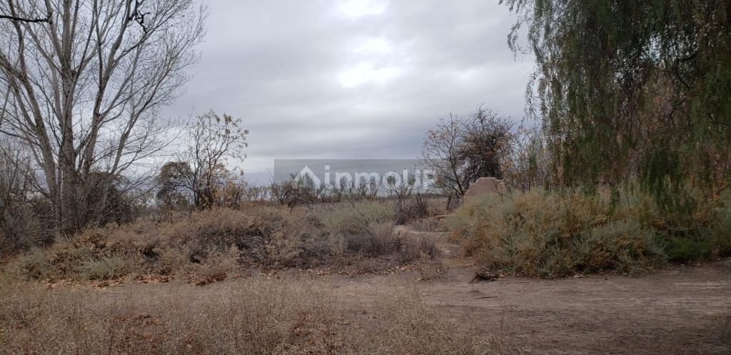 Finca en Venta en Lavalle, Mendoza