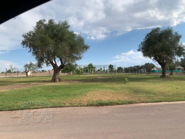 Terreno en Venta en Maipu, Mendoza