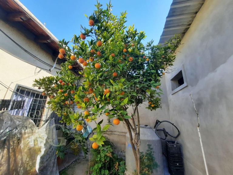 Casa en Venta en Rivadavia, Mendoza