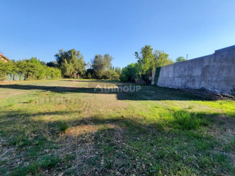 Terreno en Venta en Lujan de Cuyo, Mendoza