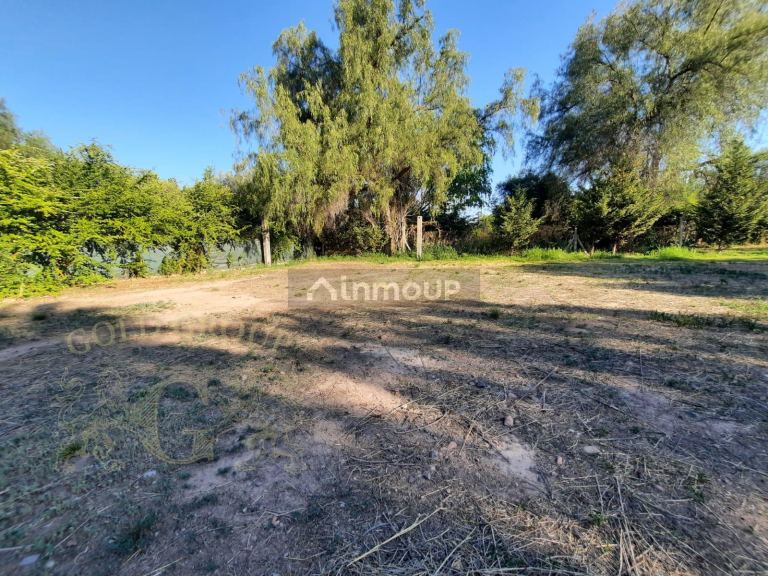 Terreno en Venta en Lujan de Cuyo, Mendoza