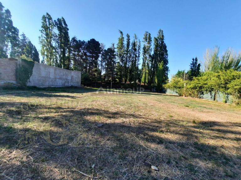 Terreno en Venta en Lujan de Cuyo, Mendoza