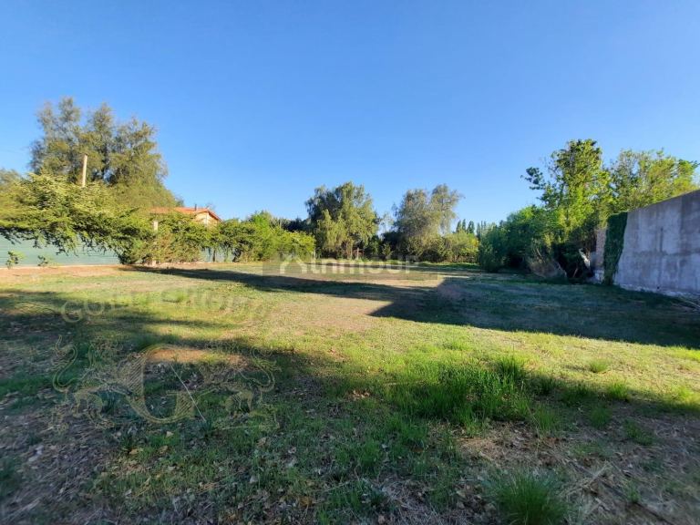 Terreno en Venta en Lujan de Cuyo, Mendoza