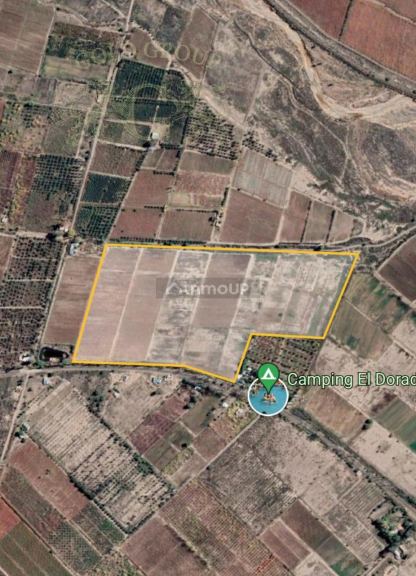 Finca en Venta en Rivadavia, Mendoza