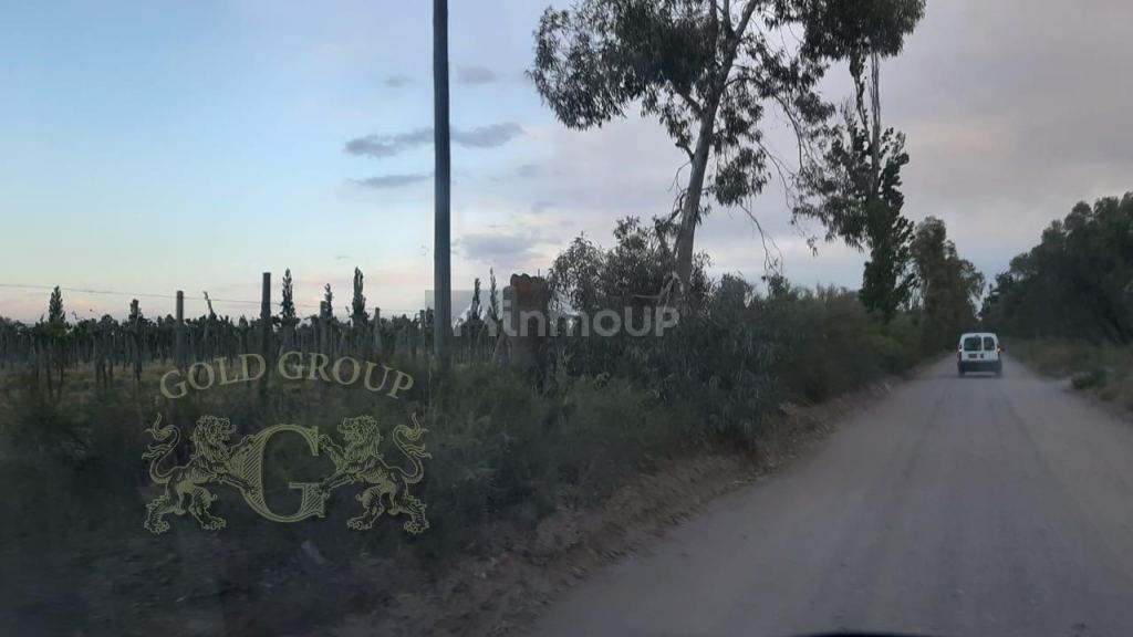 Finca en Venta en Rivadavia, Mendoza