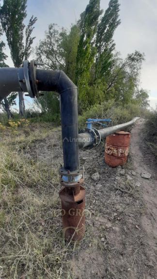 Finca en Venta en Rivadavia, Mendoza