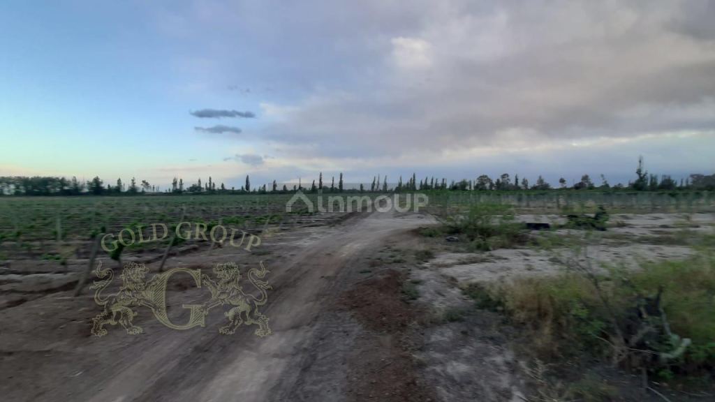 Finca en Venta en Rivadavia, Mendoza