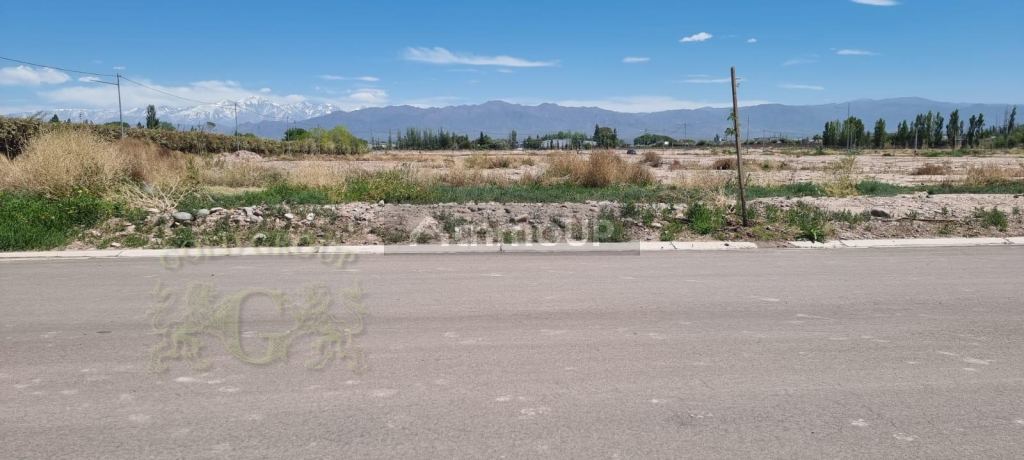 Lote en Venta en Lujan de Cuyo, Mendoza