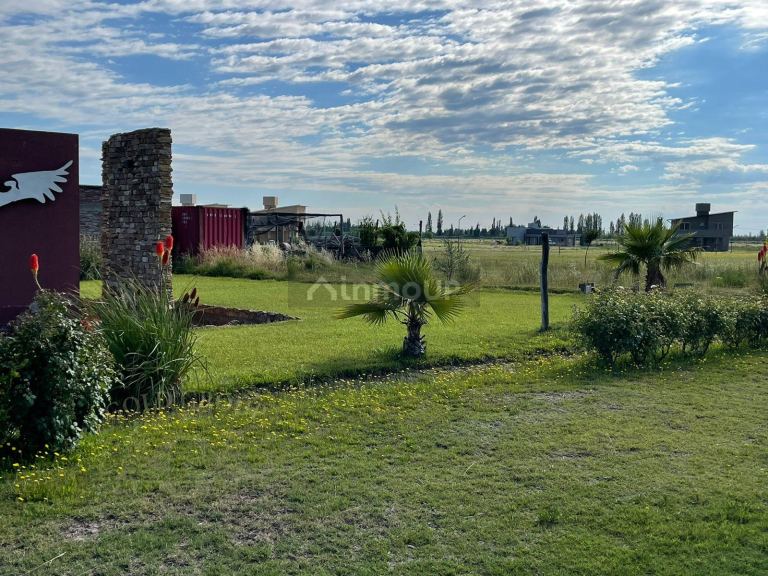 Lote en Venta en San Rafael, Mendoza