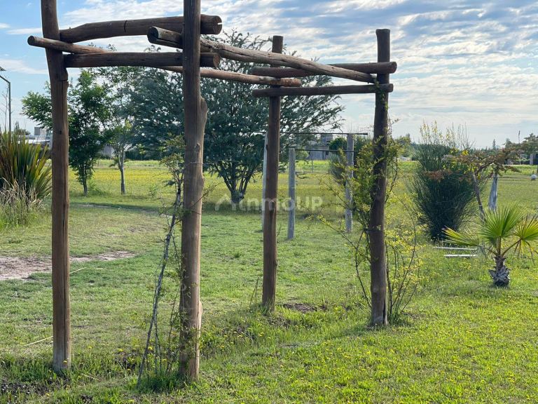 Lote en Venta en San Rafael, Mendoza