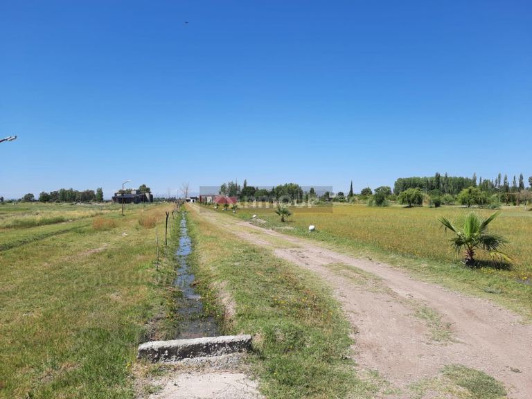 Lote en Venta en San Rafael, Mendoza
