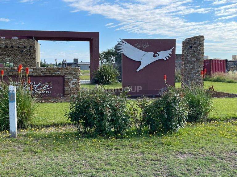 Lote en Venta en San Rafael, Mendoza