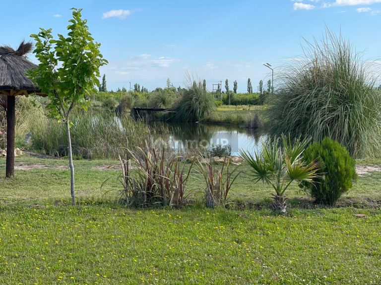 Lote en Venta en San Rafael, Mendoza