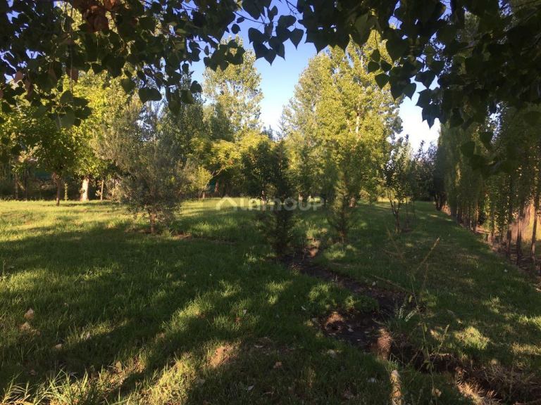 Lote en Venta en Maipu, Mendoza