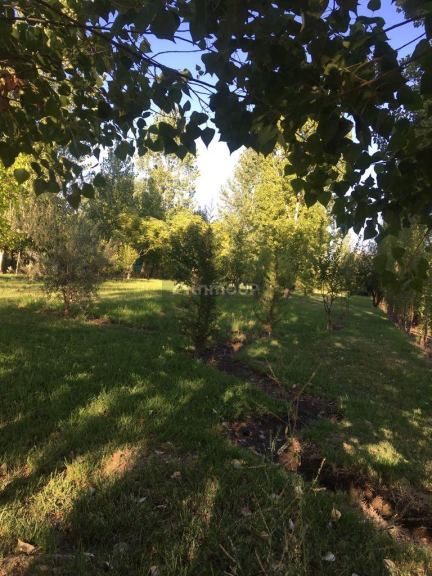 Lote en Venta en Maipu, Mendoza