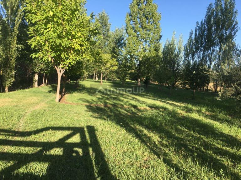 Lote en Venta en Maipu, Mendoza