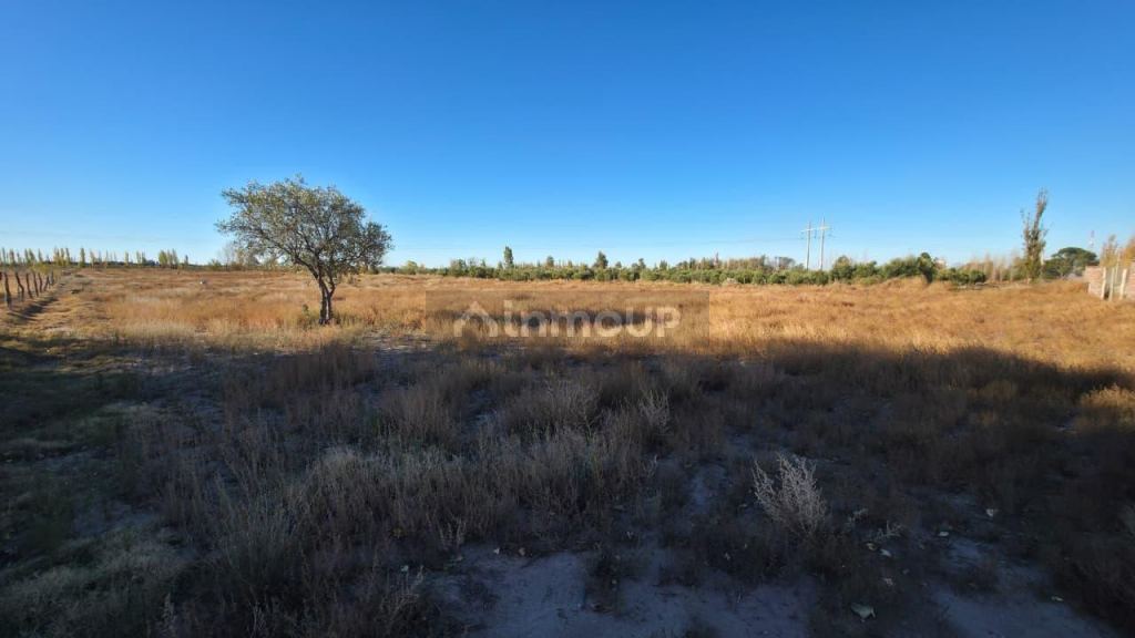 Lote en Venta en San Rafael, Mendoza