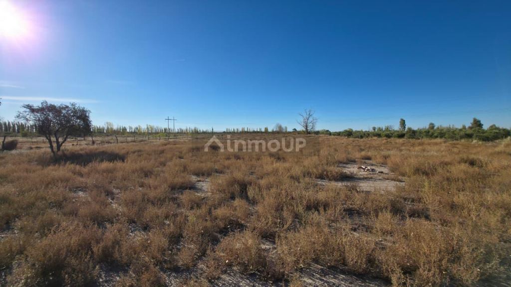 Lote en Venta en San Rafael, Mendoza