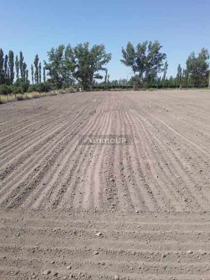 Lote en Venta en San Rafael, Mendoza