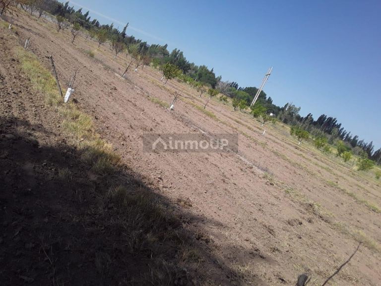 Lote en Venta en San Rafael, Mendoza