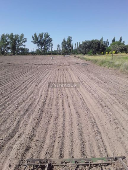 Lote en Venta en San Rafael, Mendoza