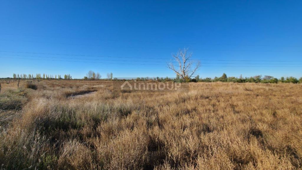 Lote en Venta en San Rafael, Mendoza