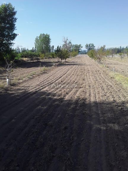 Lote en Venta en San Rafael, Mendoza