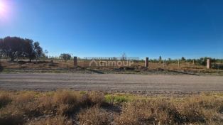 San Rafael Extenso terreno ( finca ) / Tiburcio Benegas 1700 ( a pasos de Ruta 144 )
