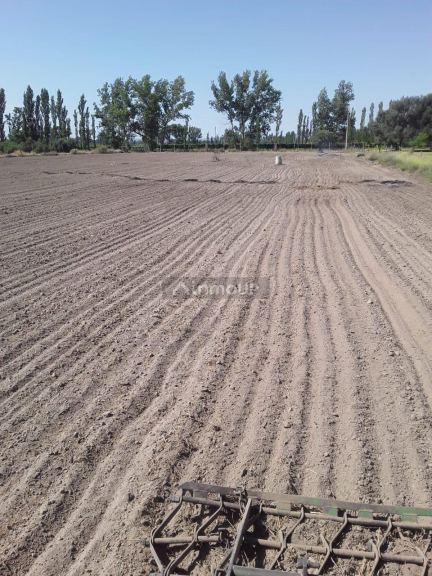 Finca en Venta en San Rafael, Mendoza