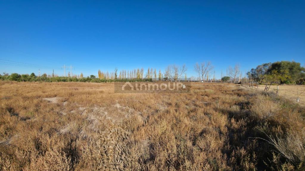 Finca en Venta en San Rafael, Mendoza