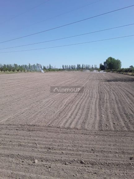 Finca en Venta en San Rafael, Mendoza