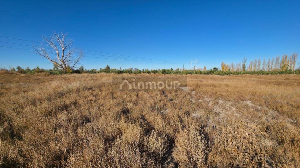 Finca en Venta en San Rafael, Mendoza