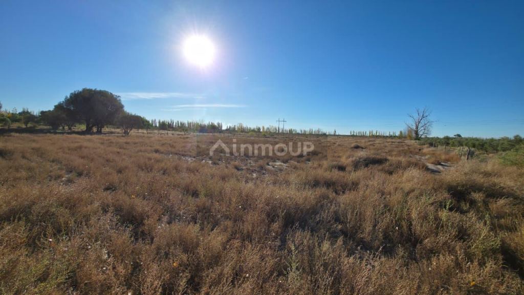 Finca en Venta en San Rafael, Mendoza
