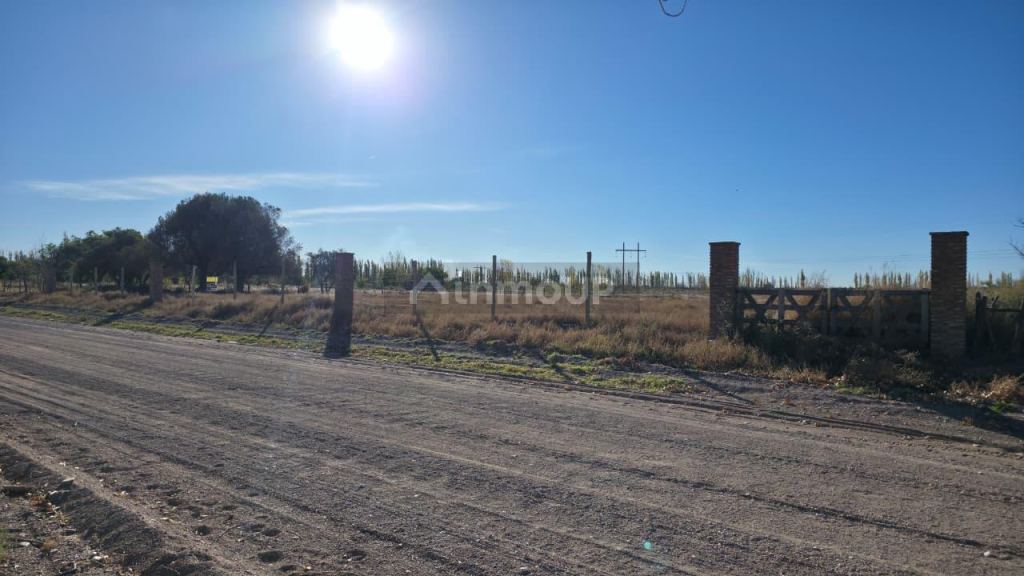 Finca en Venta en San Rafael, Mendoza