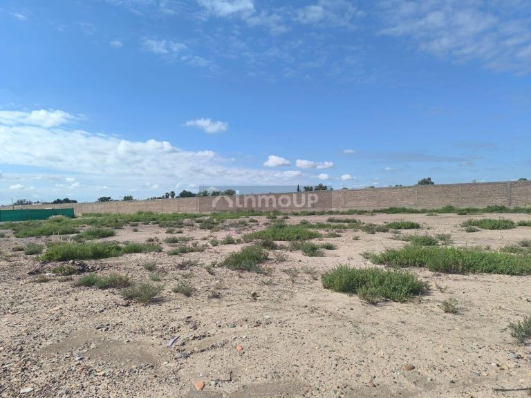 Terreno en Venta en Maipu, Mendoza
