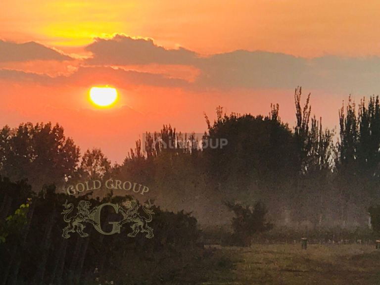 Lote en Venta en Tunuyan, Mendoza