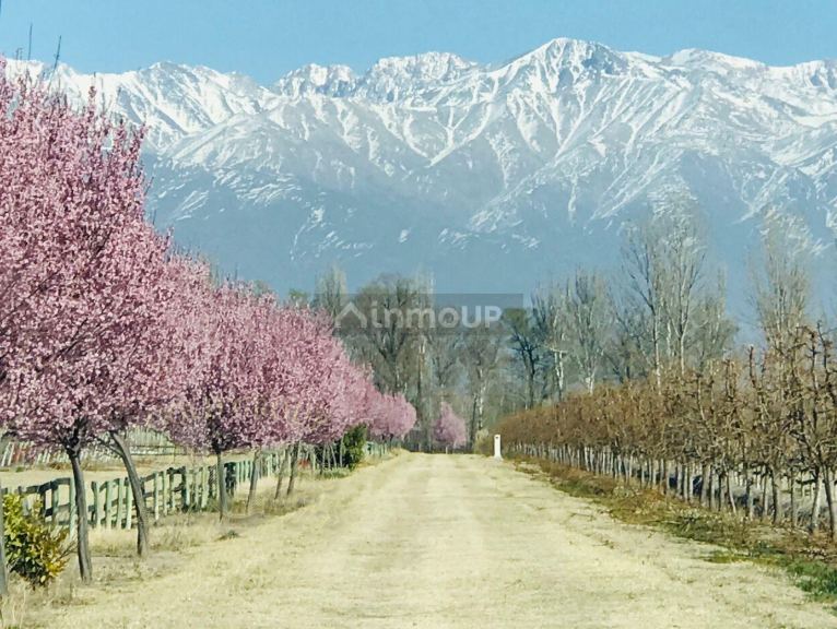 Lote en Venta en Tunuyan, Mendoza