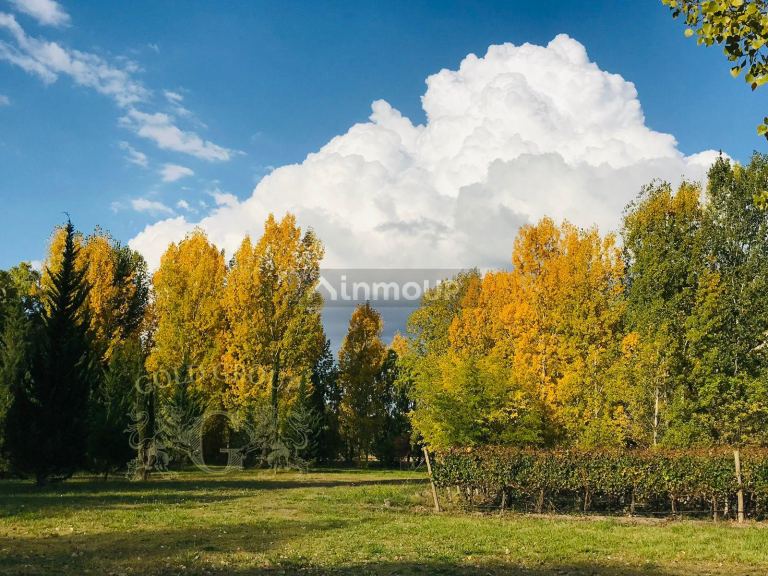Lote en Venta en Tunuyan, Mendoza